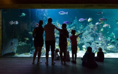 Skegness Aquarium